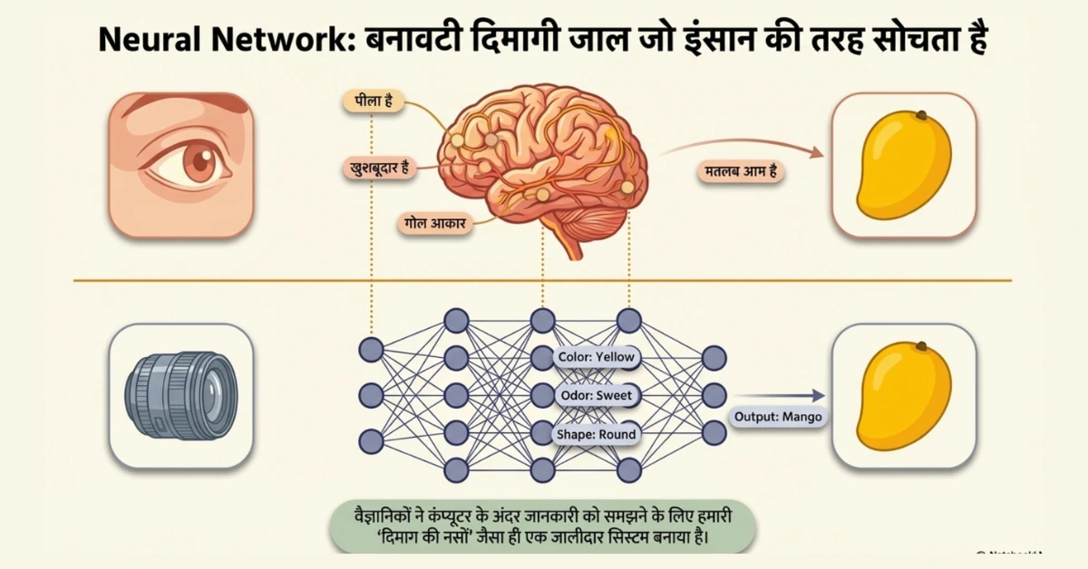 Neural Network